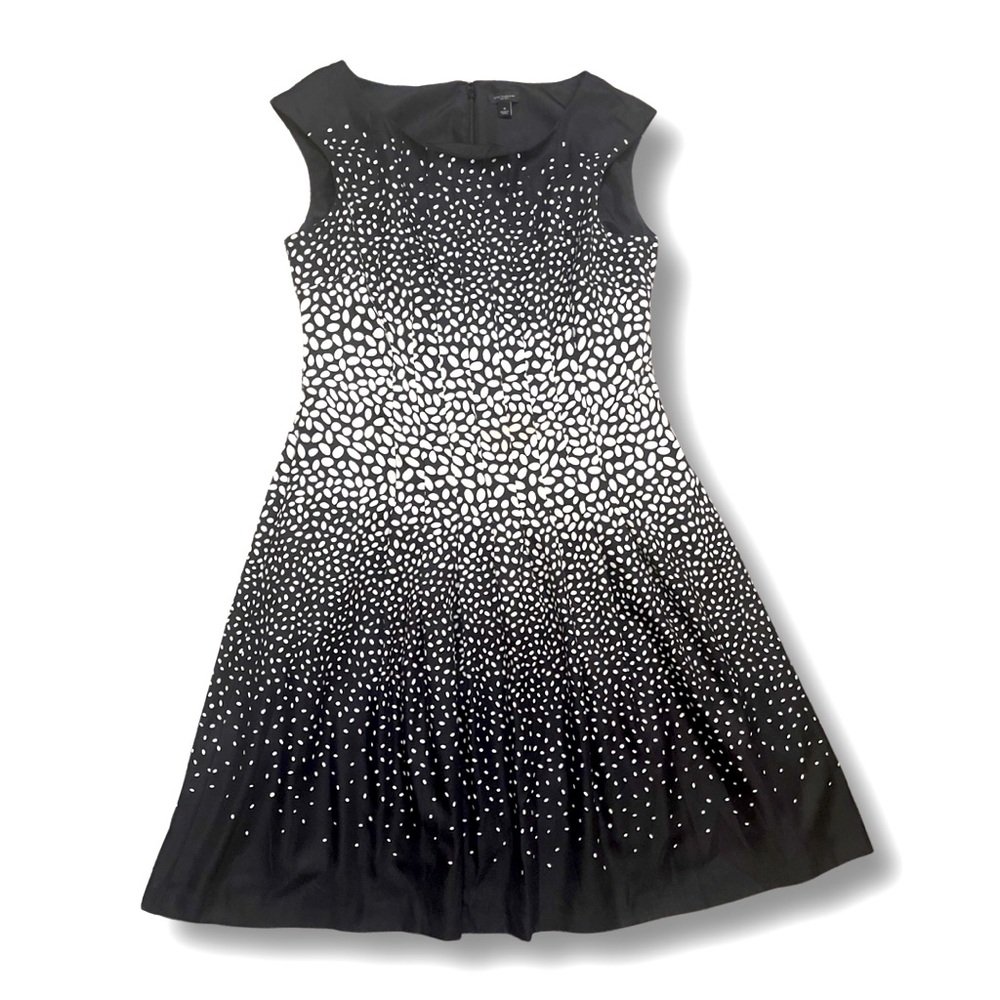 Ann Taylor Polka Dot White And Black Dress